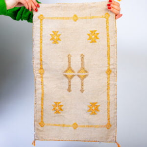 dans coussin sabra